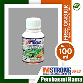 IMSTRONG 36EC 100ml