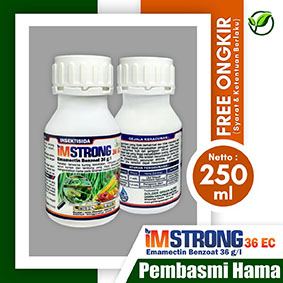 IMSTRONG 36EC 250ml