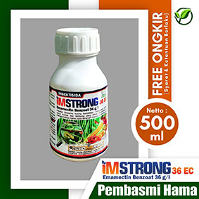 IMSTRONG 36EC 500ml