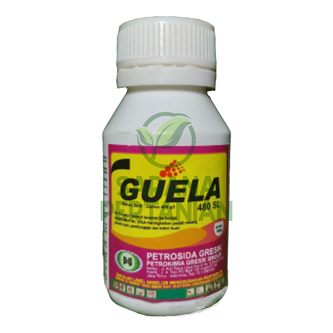 GUELA 480SL 100ml