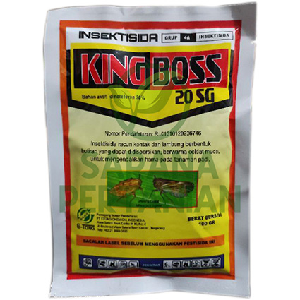 KINGBOSS 20SG 100gr