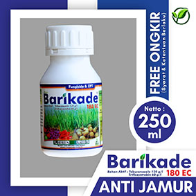 BARIKADE 250ml